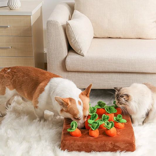 Carrot Patch Snuffle Mat &amp; Plush Toy